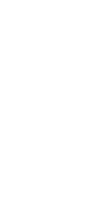 虎家のお料理